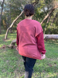 Scottie Two Tone Sweatshirt in Three Colors