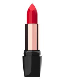 Creamy Satin Lipstick - Pre Sale Celesty