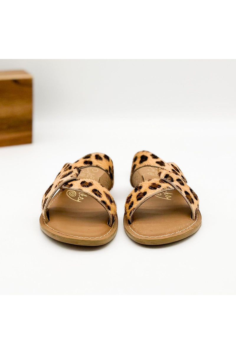 Conga Sandal in Leopard